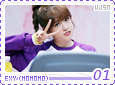wjsn-momomoexy01