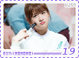 wjsn-momomoexy19