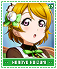 hanayokoizumi17